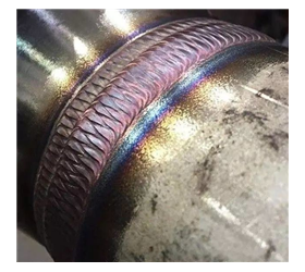 不銹鋼魚鱗焊接作品